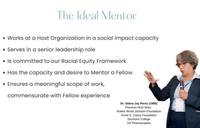 The Ideal Mentor (Mentor landing page)