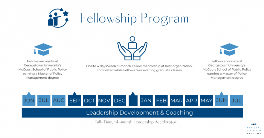 Fellows Program Model 2025
